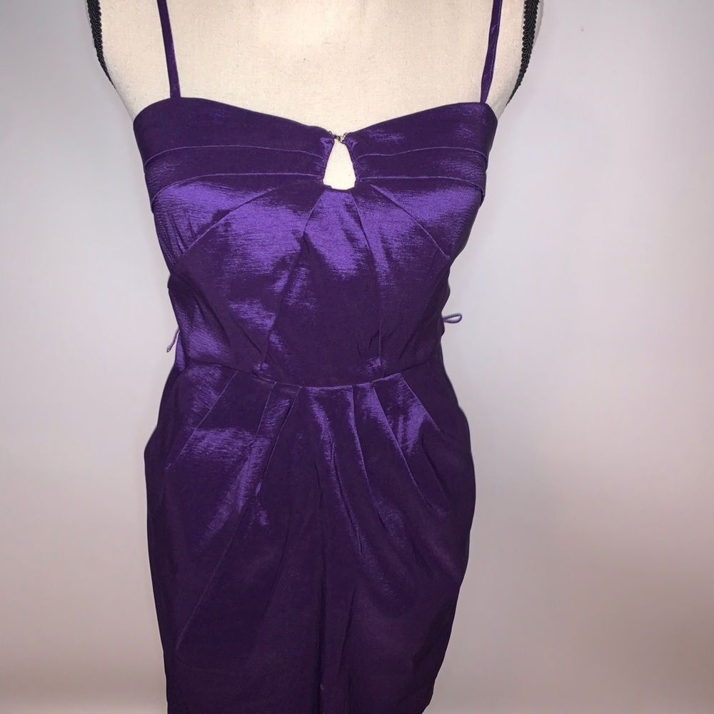 Windsor purple dress
